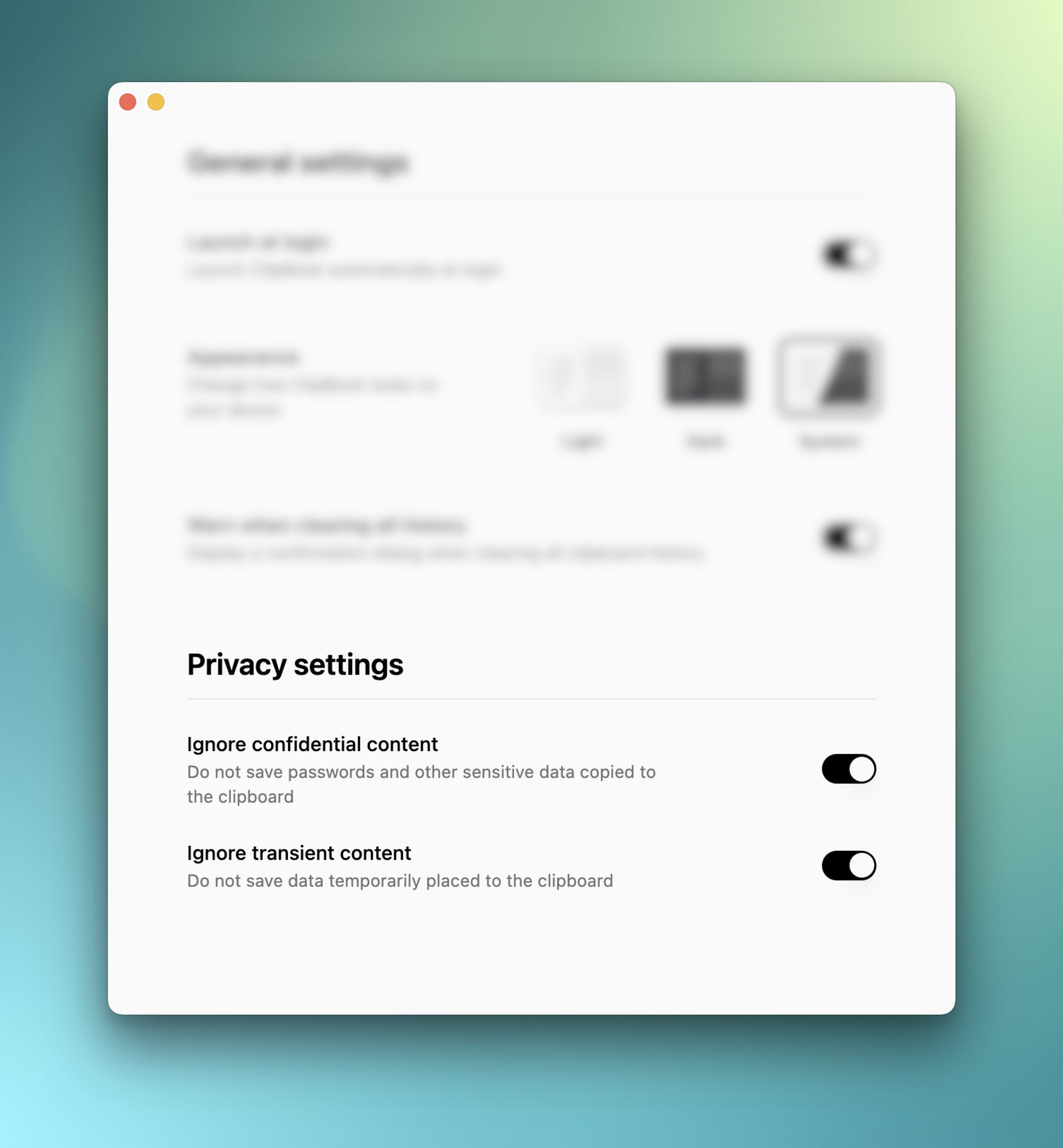 ClipBook 1.5.0 Privacy Settings